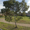 Outside parking on Blue Gum Drive in Brookfield Victoria Outside parking on Blue Gum Drive in Brookfield Victoria