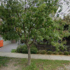 Indoor lot parking on Poplar Street in Box Hill Victoria Indoor lot parking on Poplar Street in Box Hill Victoria