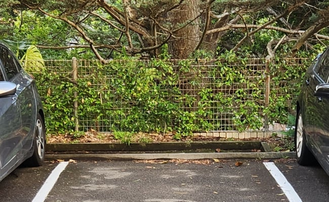 Outside parking on Cook Road in Centennial Park New South Wales