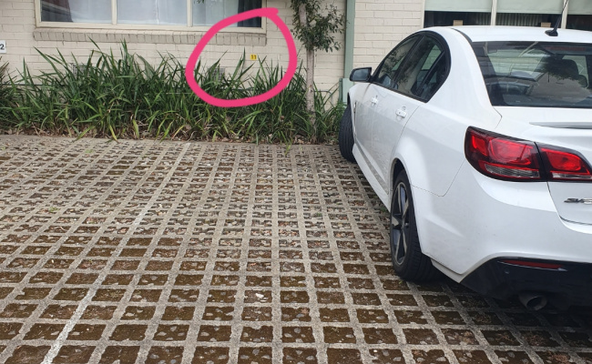Parking near st Vincent's hospital, Gertrude St and Smith St