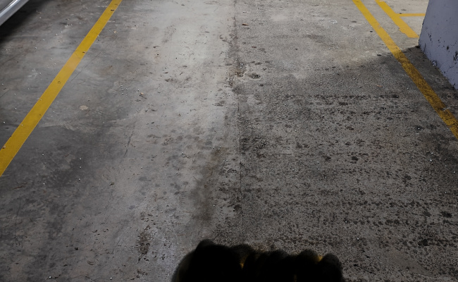 Indoor lot parking on John Street in Mascot New South Wales