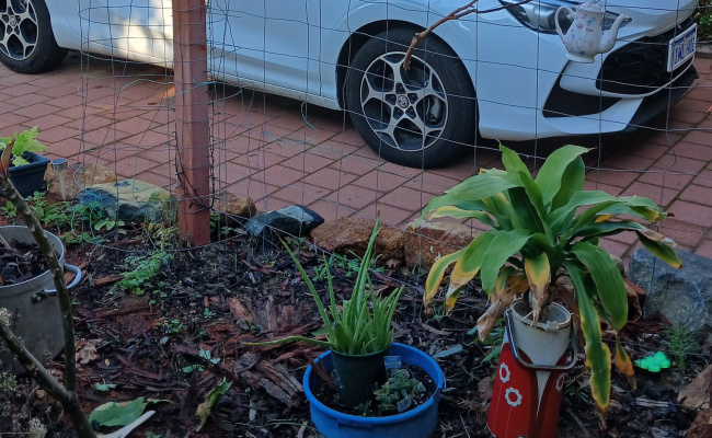 Driveway parking on Jordan Place in Wattle Grove Western Australia