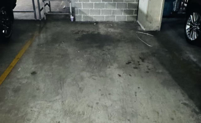 Ultra-Convenient Ultimo Parking - Right At The Entrance!