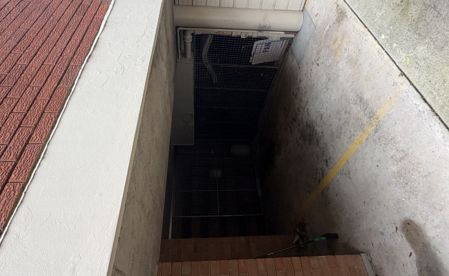 Secure Parking 10 Min Walk to UNSW