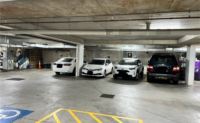 Camperdown - Secure Underground Parking near RPA & USYD