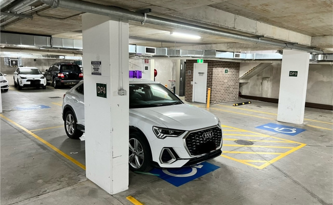 Camperdown - Secure Underground Parking near RPA & USYD