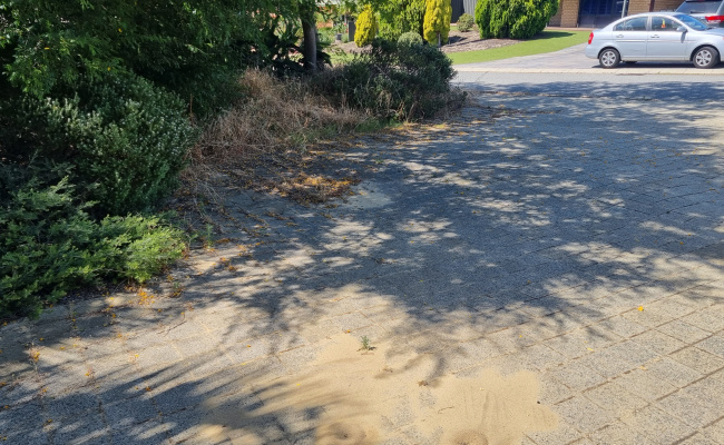 Outside parking on Rotorua Grove in Joondalup Western Australia