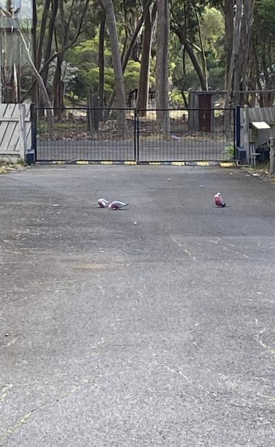 Outdoor open car space