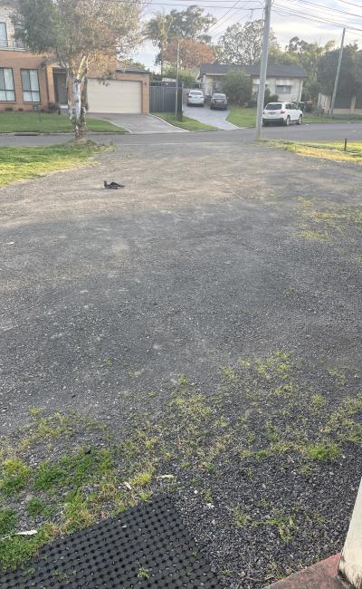 Next to Lurnea Public School