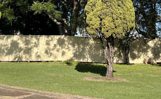 Outside parking on Wana Street in Sunnybank Queensland
