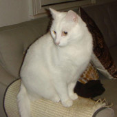 Fred